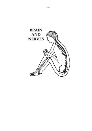 22-1




 BRAIN
  AND
NERVES
 