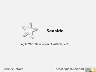 Seaside: Agile Web Application Development with Squeak