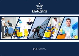 SilverStar Cleaning Profile 
