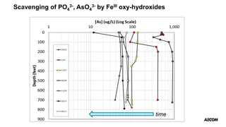 Scavenging of PO4
3-, AsO4
3- by FeIII oxy-hydroxides
time
 