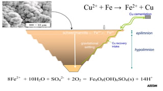 epilimnion
hypolimnion
pit sediment
O2 diffusion
gravitational
settling
Cu cementation
Cu recovery
intake
schwertmannite ← Fe3+ ← Fe2+
Cu2+ + Fe → Fe2+ + Cu
8Fe2+
+ 10H2O + SO4
2-
+ 2O2 = Fe8O8(OH)6SO4(s) + 14H+
 