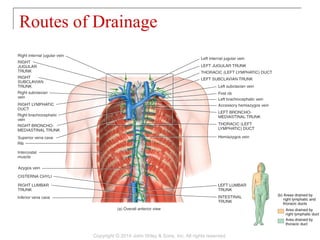Routes of Drainage
Copyright © 2014 John Wiley & Sons, Inc. All rights reserved.
 