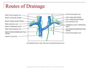 Routes of Drainage
Copyright © 2014 John Wiley & Sons, Inc. All rights reserved.
 