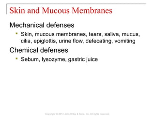 Mechanical defenses
 Skin, mucous membranes, tears, saliva, mucus,
cilia, epiglottis, urine flow, defecating, vomiting
Chemical defenses
 Sebum, lysozyme, gastric juice
Skin and Mucous Membranes
Copyright © 2014 John Wiley & Sons, Inc. All rights reserved.
 