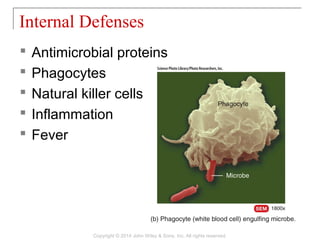  Antimicrobial proteins
 Phagocytes
 Natural killer cells
 Inflammation
 Fever
Internal Defenses
Copyright © 2014 John Wiley & Sons, Inc. All rights reserved.
 