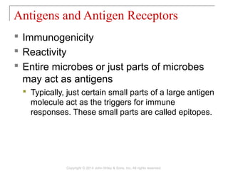  Immunogenicity
 Reactivity
 Entire microbes or just parts of microbes
may act as antigens
 Typically, just certain small parts of a large antigen
molecule act as the triggers for immune
responses. These small parts are called epitopes.
Antigens and Antigen Receptors
Copyright © 2014 John Wiley & Sons, Inc. All rights reserved.
 