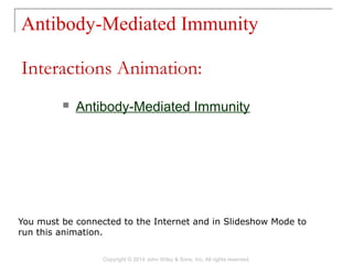 Antibody-Mediated Immunity
Copyright © 2014 John Wiley & Sons, Inc. All rights reserved.
 Antibody-Mediated Immunity
Interactions Animation:
You must be connected to the Internet and in Slideshow Mode to
run this animation.
 