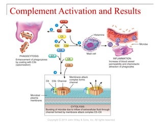 Complement Activation and Results
Copyright © 2014 John Wiley & Sons, Inc. All rights reserved.
 