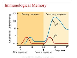 Immunological Memory
Copyright © 2014 John Wiley & Sons, Inc. All rights reserved.
 