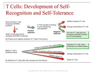 T Cells: Development of Self-
Recognition and Self-Tolerance
Copyright © 2014 John Wiley & Sons, Inc. All rights reserved.
 