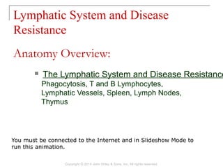 Lymphatic System and Disease
Resistance
Copyright © 2014 John Wiley & Sons, Inc. All rights reserved.
 The Lymphatic System and Disease Resistance
Phagocytosis, T and B Lymphocytes,
Lymphatic Vessels, Spleen, Lymph Nodes,
Thymus
Anatomy Overview:
You must be connected to the Internet and in Slideshow Mode to
run this animation.
 