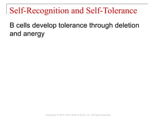 B cells develop tolerance through deletion
and anergy
Self-Recognition and Self-Tolerance
Copyright © 2014 John Wiley & Sons, Inc. All rights reserved.
 