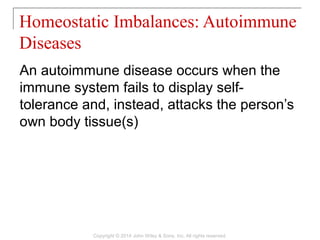 An autoimmune disease occurs when the
immune system fails to display self-
tolerance and, instead, attacks the person’s
own body tissue(s)
Homeostatic Imbalances: Autoimmune
Diseases
Copyright © 2014 John Wiley & Sons, Inc. All rights reserved.
 