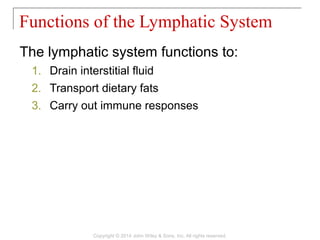 The lymphatic system functions to:
1. Drain interstitial fluid
2. Transport dietary fats
3. Carry out immune responses
Functions of the Lymphatic System
Copyright © 2014 John Wiley & Sons, Inc. All rights reserved.
 