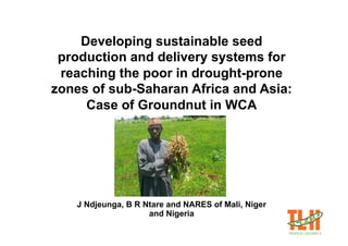 Developing sustainable seed
 production and delivery systems for
 reaching the poor in drought-prone
zones of sub-Saharan Africa and Asia:
     Case of Groundnut in WCA




   J Ndjeunga, B R Ntare and NARES of Mali, Niger
                    and Nigeria
 