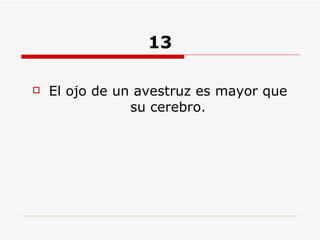 13 El ojo de un avestruz es mayor que su cerebro. 