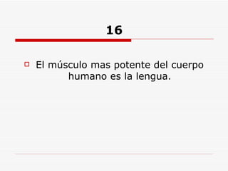 16 El músculo mas potente del cuerpo humano es la lengua. 
