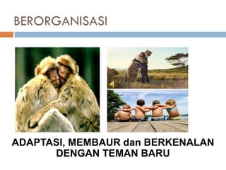 BERORGANISASI
ADAPTASI, MEMBAUR dan BERKENALAN
DENGAN TEMAN BARU
 