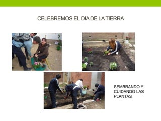 CELEBREMOS EL DIA DE LA TIERRA




                          SEMBRANDO Y
                          CUIDANDO LAS
                          PLANTAS
 