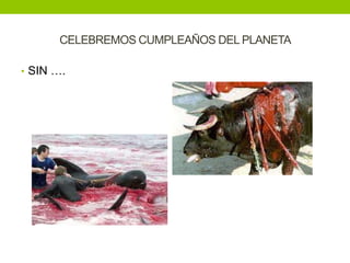 CELEBREMOS CUMPLEAÑOS DEL PLANETA

• SIN ….
 