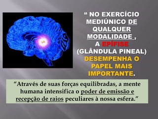 “ NO EXERCÍCIO
MEDIÚNICO DE
QUALQUER
MODALIDADE ,
A EPÍFISE
(GLÂNDULA PINEAL)
DESEMPENHA O
PAPEL MAIS
IMPORTANTE.
“Através de suas forças equilibradas, a mente
humana intensifica o poder de emissão e
recepção de raios peculiares à nossa esfera.”

 