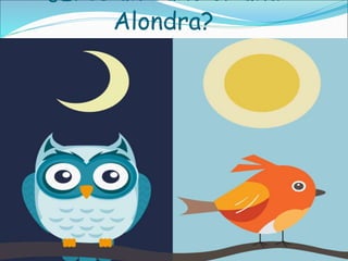 ¿Eres un búho or una
Alondra?
 