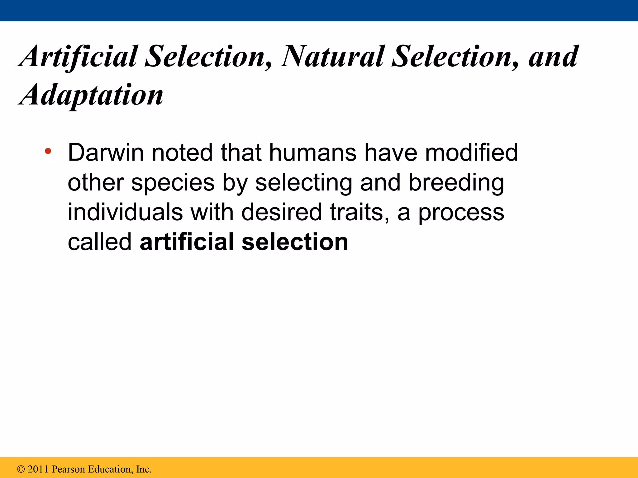Artificial Selection, Natural Selection, and
Adaptation
• Darwin noted that humans have modified
other species by selecting and breeding
individuals with desired traits, a process
called artificial selection
© 2011 Pearson Education, Inc.
 