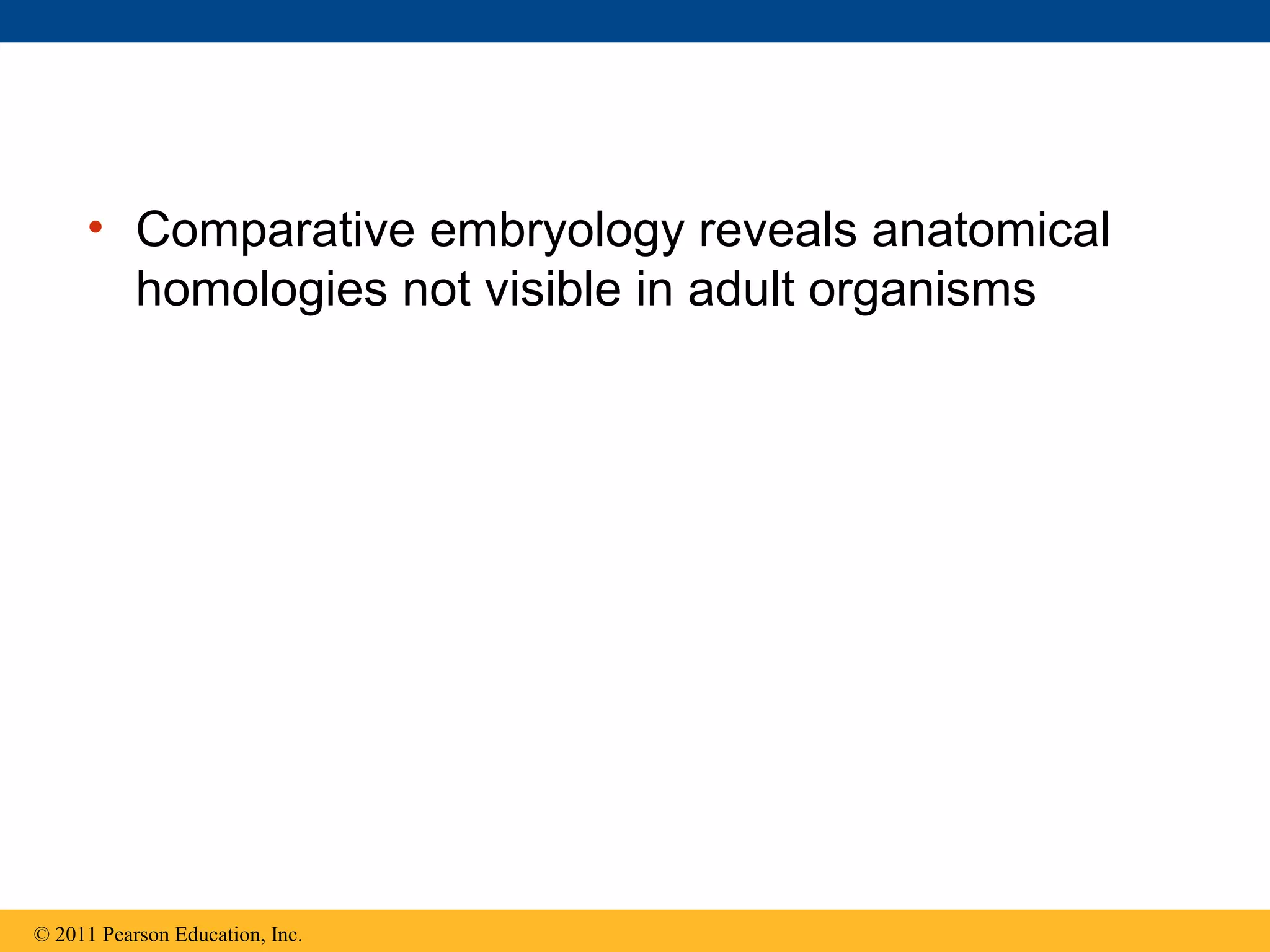 • Comparative embryology reveals anatomical
homologies not visible in adult organisms
© 2011 Pearson Education, Inc.
 