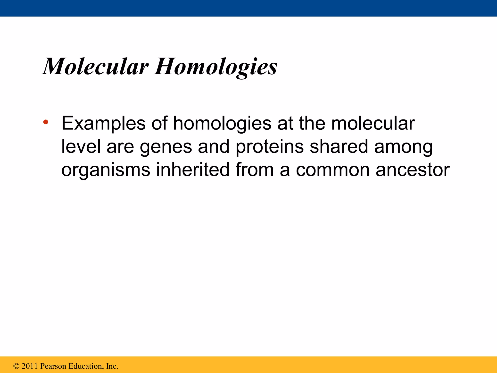 Molecular Homologies
• Examples of homologies at the molecular
level are genes and proteins shared among
organisms inherited from a common ancestor
© 2011 Pearson Education, Inc.
 