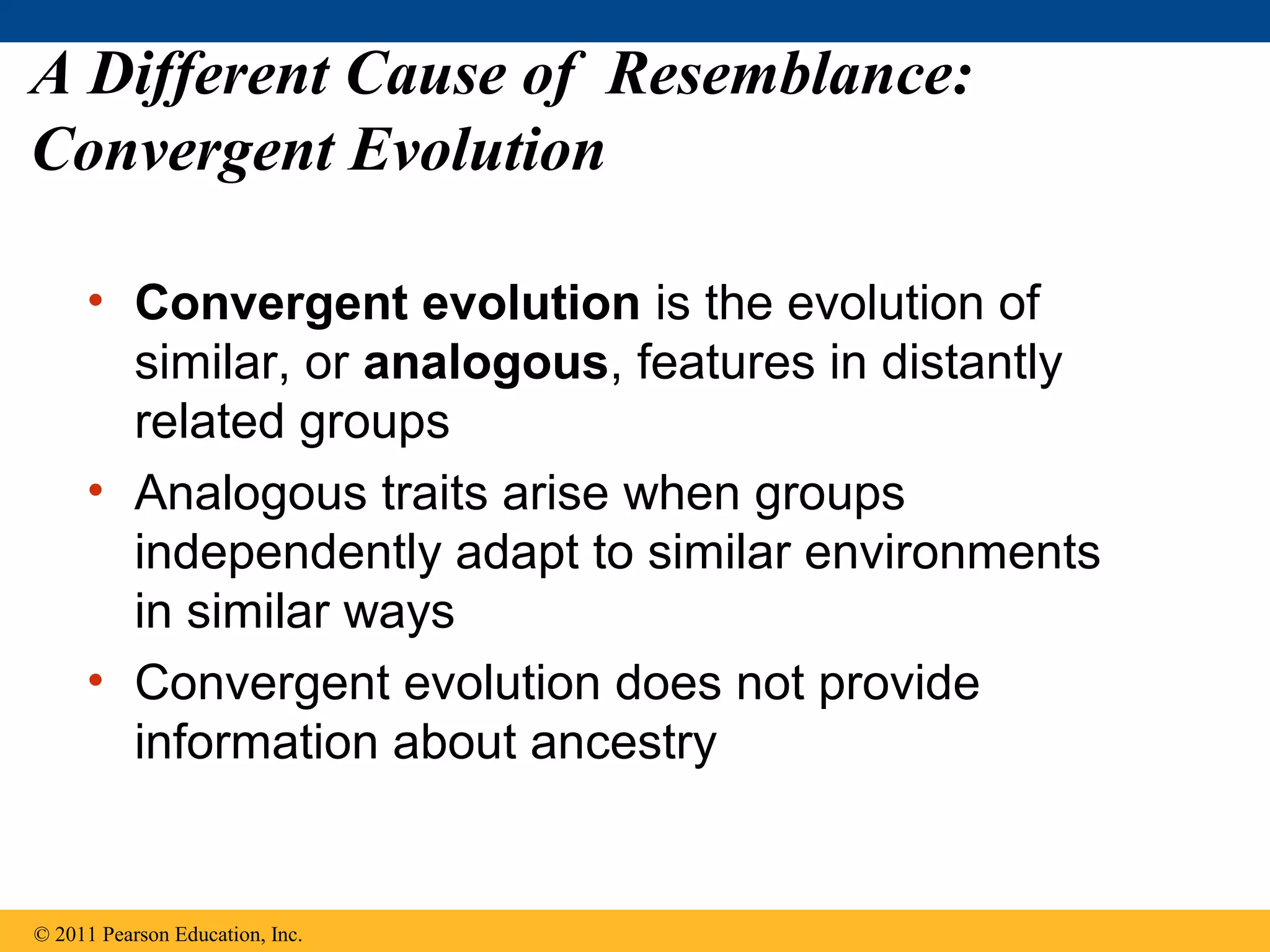 A Different Cause of Resemblance:
Convergent Evolution
• Convergent evolution is the evolution of
similar, or analogous, features in distantly
related groups
• Analogous traits arise when groups
independently adapt to similar environments
in similar ways
• Convergent evolution does not provide
information about ancestry
© 2011 Pearson Education, Inc.
 
