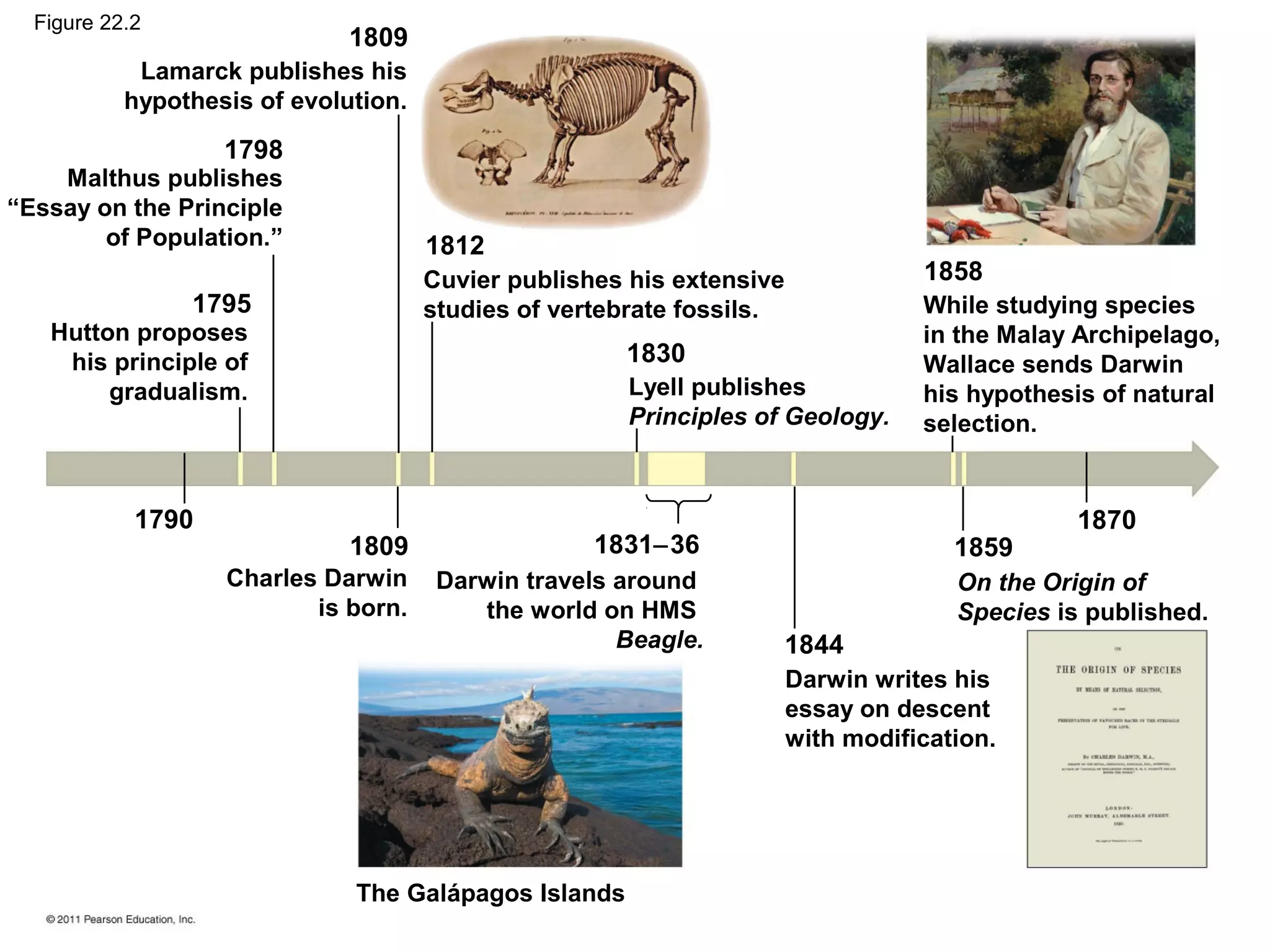 1809
1798
1812
1795
1830
1790
1809 1831−36
1844
1859
1870
Lamarck publishes his
hypothesis of evolution.
Malthus publishes
“Essay on the Principle
of Population.”
Hutton proposes
his principle of
gradualism.
Charles Darwin
is born.
Darwin travels around
the world on HMS
Beagle.
The Galápagos Islands
Darwin writes his
essay on descent
with modification.
On the Origin of
Species is published.
While studying species
in the Malay Archipelago,
Wallace sends Darwin
his hypothesis of natural
selection.
1858Cuvier publishes his extensive
studies of vertebrate fossils.
Lyell publishes
Principles of Geology.
Figure 22.2
 