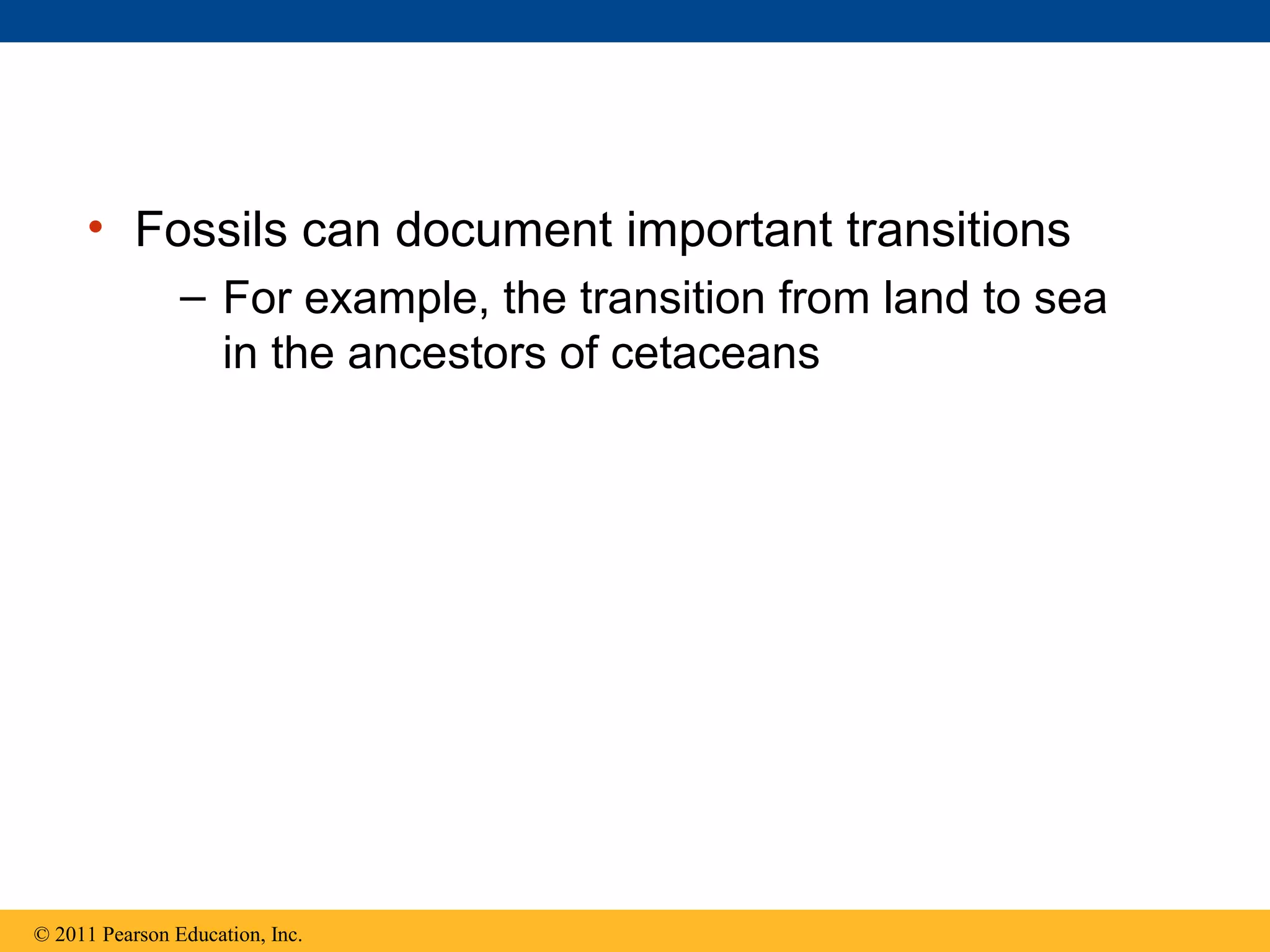 • Fossils can document important transitions
– For example, the transition from land to sea
in the ancestors of cetaceans
© 2011 Pearson Education, Inc.
 