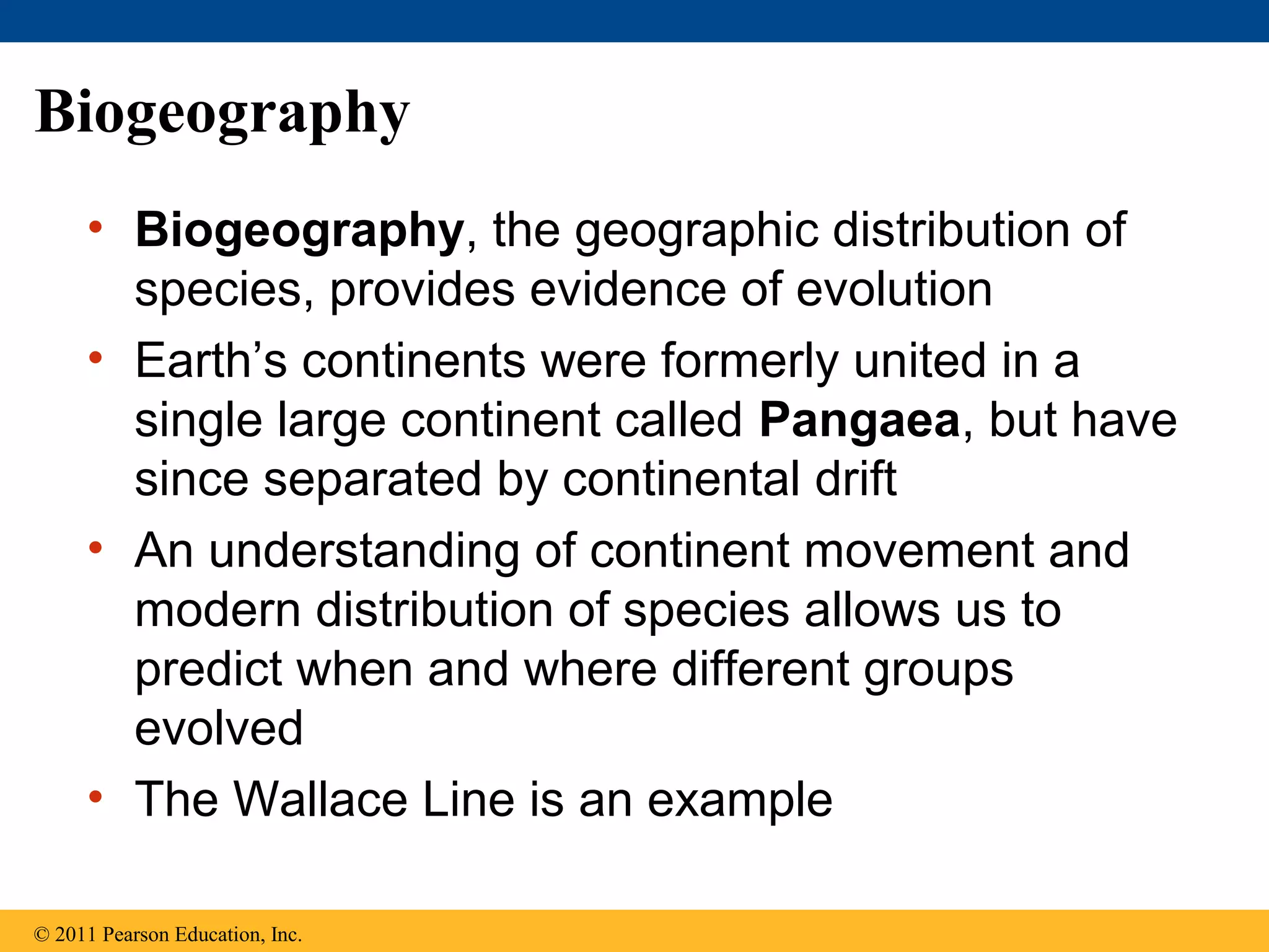 Biogeography
• Biogeography, the geographic distribution of
species, provides evidence of evolution
• Earth’s continents were formerly united in a
single large continent called Pangaea, but have
since separated by continental drift
• An understanding of continent movement and
modern distribution of species allows us to
predict when and where different groups
evolved
• The Wallace Line is an example
© 2011 Pearson Education, Inc.
 