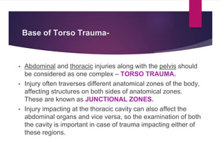 Mechanism of torso trauma - surgery | PPTX