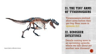 Tyrannosaurs evolved
short arms before they
got big. Hear more in
episode 417
Image by Agsftw, via Wikimedia Commons
Details coming soon in
an upcoming episode,
where we talk about yet
another new dinosaur!
 