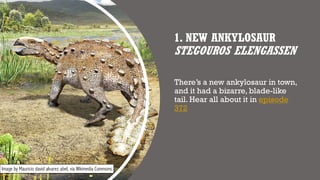 1. NEW ANKYLOSAUR
STEGOUROS ELENGASSEN
There’s a new ankylosaur in town,
and it had a bizarre, blade-like
tail. Hear all about it in episode
372
Image by Mauricio david alvarez abel, via Wikimedia Commons
 