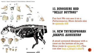Fun fact:We can see it on a
Psittacosaurus. More details also
in episode 408
A small armored dinosaur with a
crest on the bottom of its jaw.
Hear more in episode 409. (You
can also buy a Jakapil t-shirt!)
Image by F. J. Riguetti, S. Apesteguía & X. Pereda-Suberbiola, via Wikimedia Commons
 