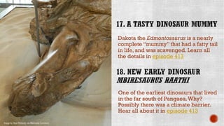 Dakota the Edmontosaurus is a nearly
complete “mummy” that had a fatty tail
in life, and was scavenged. Learn all
the details in episode 413
Image by Skye McDavid, via Wikimedia Commons
One of the earliest dinosaurs that lived
in the far south of Pangaea.Why?
Possibly there was a climate barrier.
Hear all about it in episode 413
 