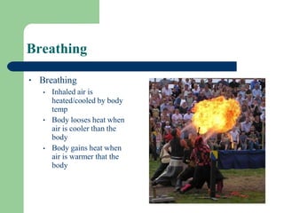 Breathing
• Breathing
•
•
• Inhaled air is
heated/cooled by body
temp
Body looses heat when
air is cooler than the
body
Bo...