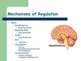 Mechanisms of Regulation  Brain Hypothalamus Body thermostat Metabolic Rate  Heat production Cardio  Heat distribution Skin  Heat loss Vasodilation Loss by conduction/convection/radiation/sweating Vasoconstricion Inhibits sweating, increased metabolic rate  