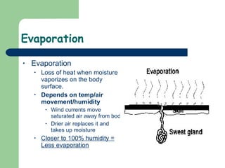 Evaporation  Evaporation Loss of heat when moisture vaporizes on the body surface. Depends on temp/air movement/humidity Wind currents move saturated air away from body Drier air replaces it and takes up moisture  Closer to 100% humidity = Less evaporation 