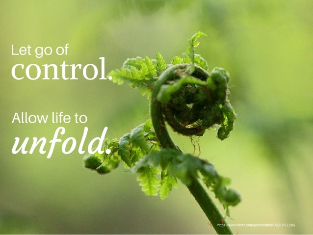 mindfulness tip of the day
