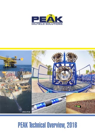 PEAK Technical Overview, 2016
SPD21/P100
 