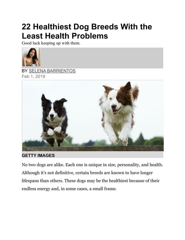 What Dog Breed Has The Least Health Problems
