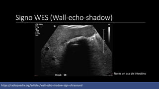 Anatomía - Ultrasonido hígado vias biliares pancreas y bazo | PPTX