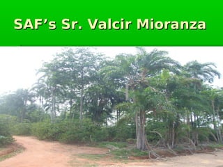 5U   B" ' E: B   CB   B
 