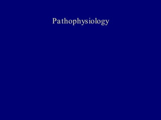 22 kim acute interstitial nephritis | PPT