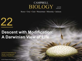 CAMPBELL 
BIOLOGY 
Reece • Urry • Cain •Wasserman • Minorsky • Jackson 
© 2014 Pearson Education, Inc. 
TENTH 
EDITION 
22 
Descent with Modification: 
A Darwinian View of Life 
Lecture Presentation by 
Nicole Tunbridge and 
Kathleen Fitzpatrick 
 