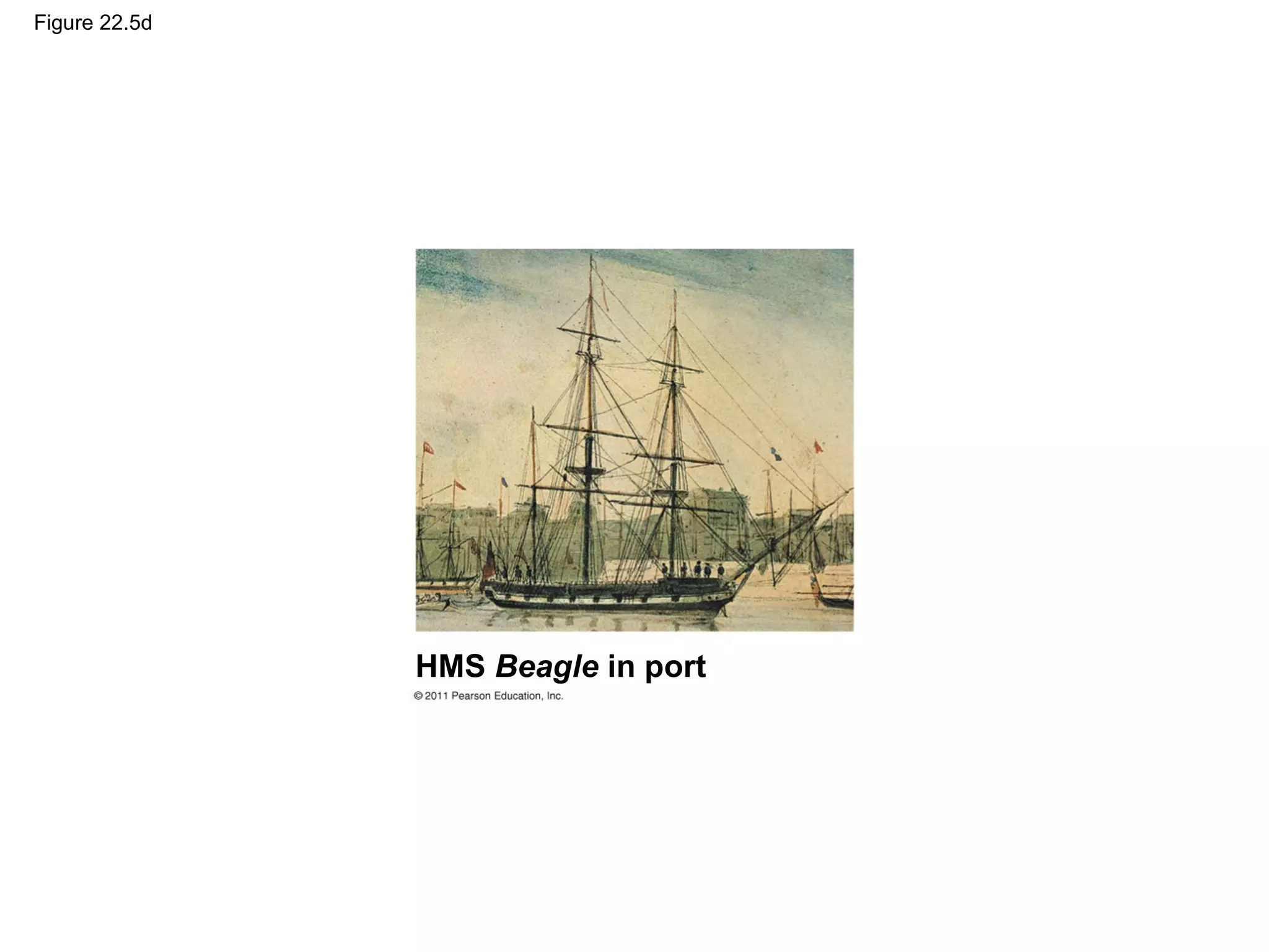 Figure 22.5d
HMS Beagle in port
 