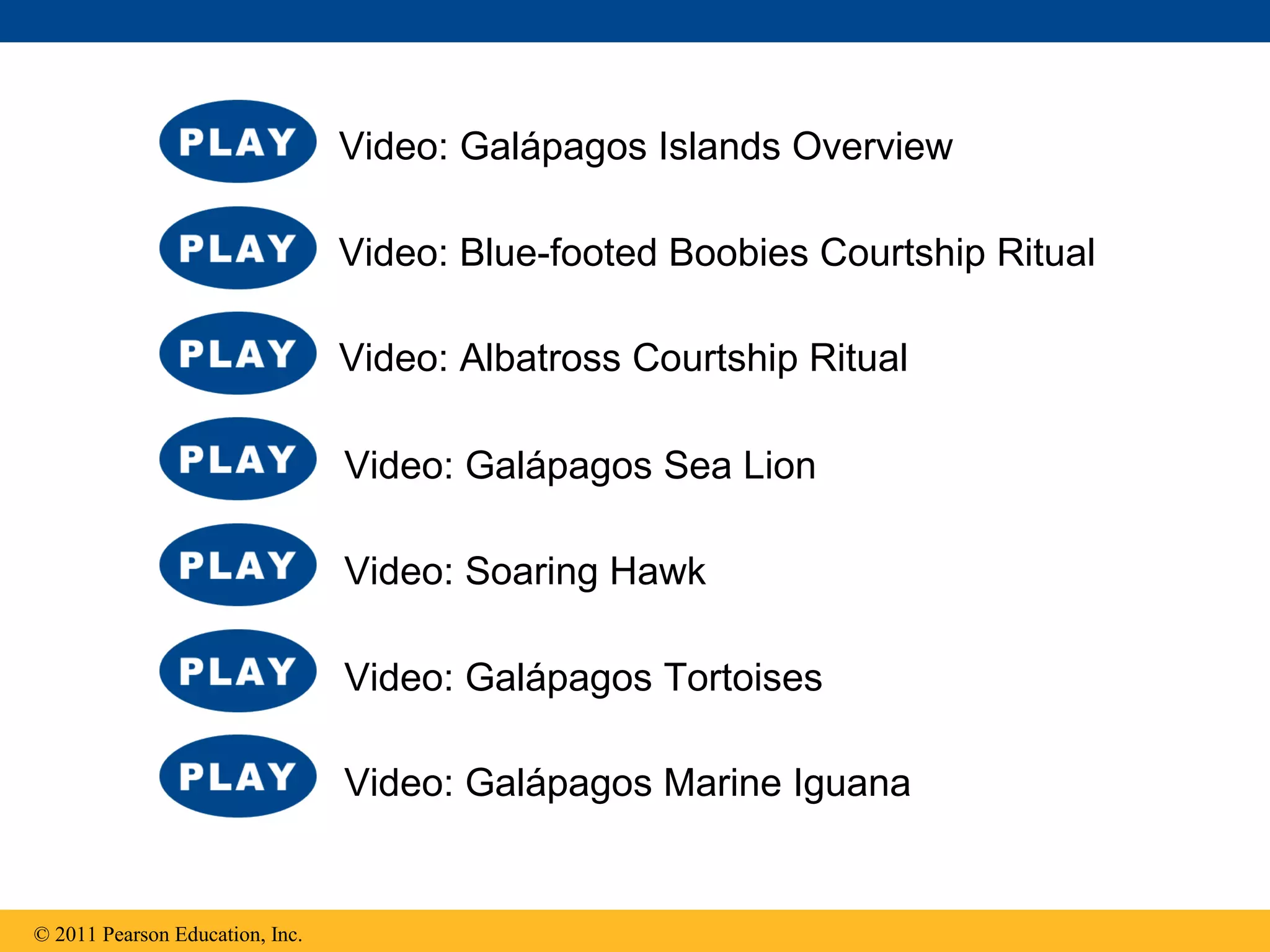 © 2011 Pearson Education, Inc.
Video: Galápagos Islands Overview
Video: Blue-footed Boobies Courtship Ritual
Video: Albatross Courtship Ritual
Video: Galápagos Sea Lion
Video: Galápagos Marine Iguana
Video: Galápagos Tortoises
Video: Soaring Hawk
 
